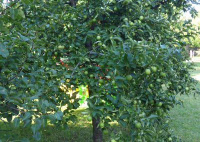 Relax Bogács Vendégház