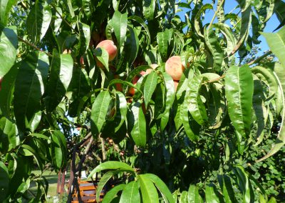 Relax Bogács Vendégház